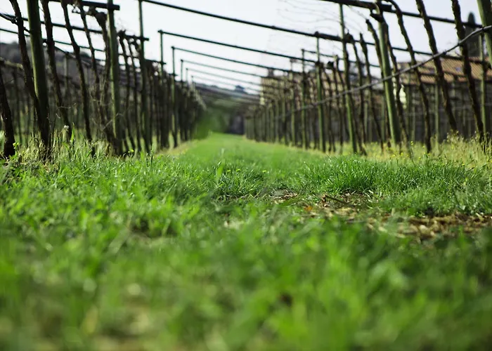 Azienda Agrituristica Corteforte