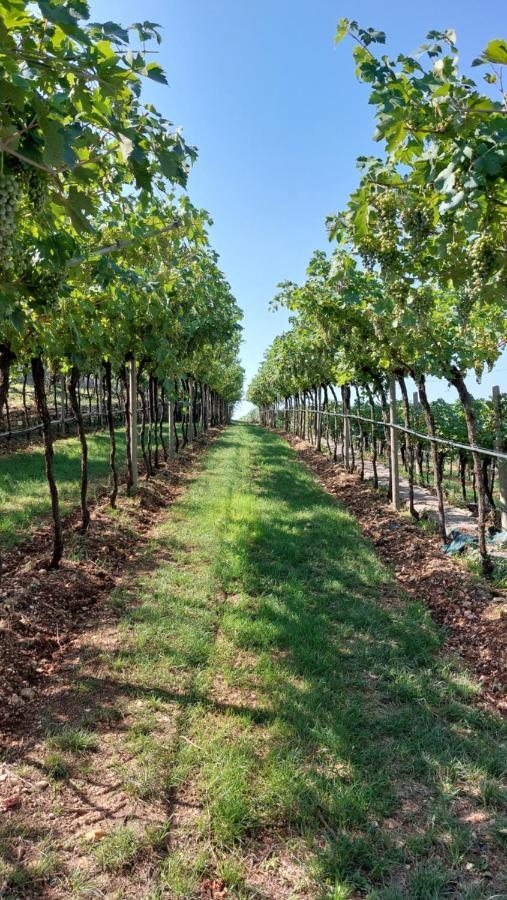 Azienda Agrituristica Corteforte Fumane