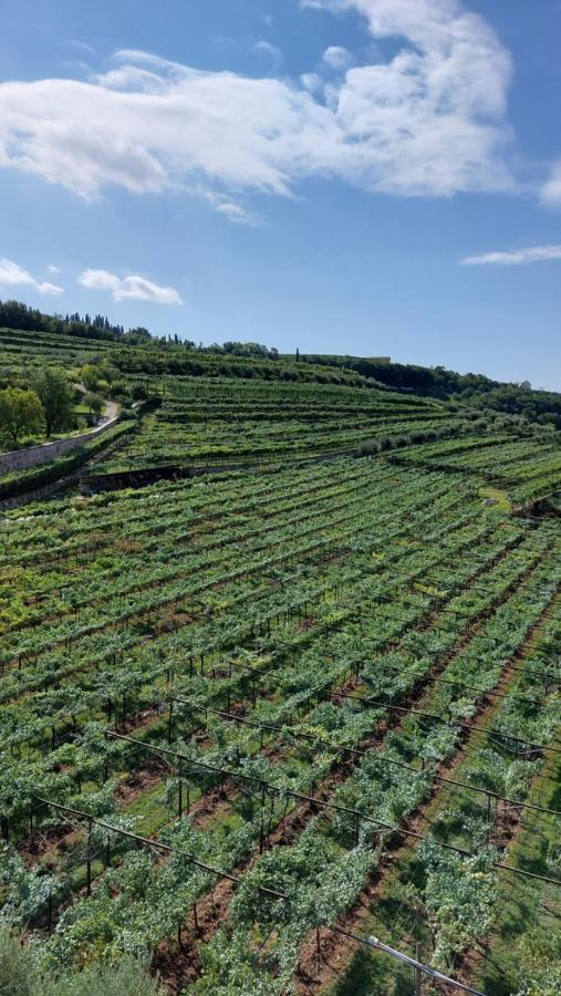 Azienda Agrituristica Corteforte Séjour à la ferme