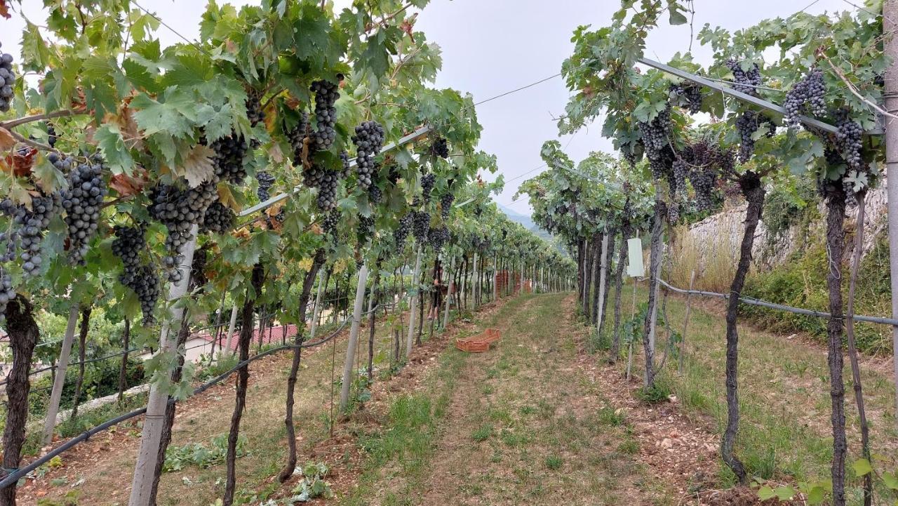 Azienda Agrituristica Corteforte Séjour à la ferme *