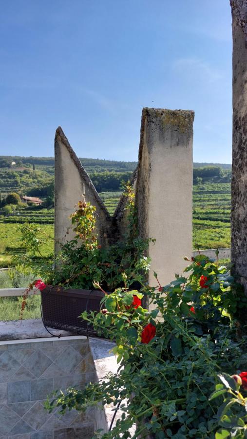 Azienda Agrituristica Corteforte Séjour à la ferme *
