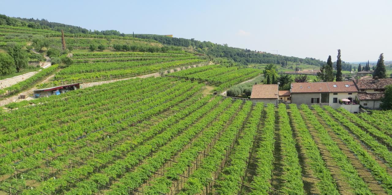 Azienda Agrituristica Corteforte *